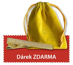 DÁREK - Elegantní spona na kravatu a dárkový sáček